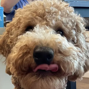 Fundraising Page: Eliza Winters